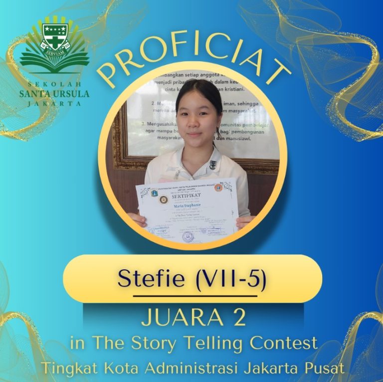  Stefie