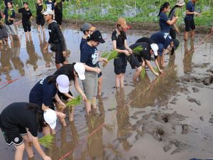 Live in 2026, kelas 8 di Magelang Jawa Tengah